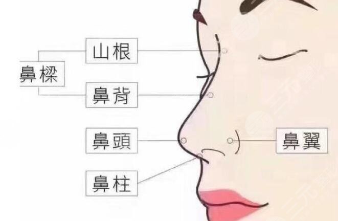 武汉中南医院郭亮做鼻子多少钱?