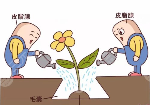 头发干枯怎么办?4