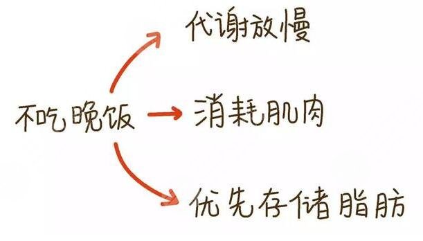 晚餐要适量，健康更重要