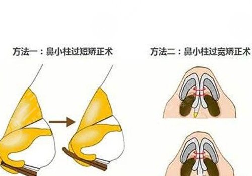 邹进进医生坐诊医院介绍