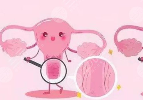 女性私处修复手术大概多少钱?