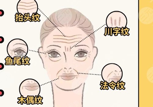 肤莱美和肤丽美的区别是什么？