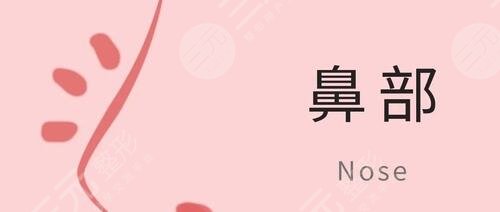隆鼻整形手术