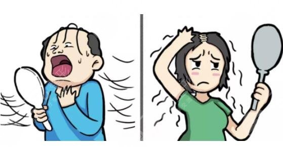 防脱洗发水有哪些?可以改良脱发吗?