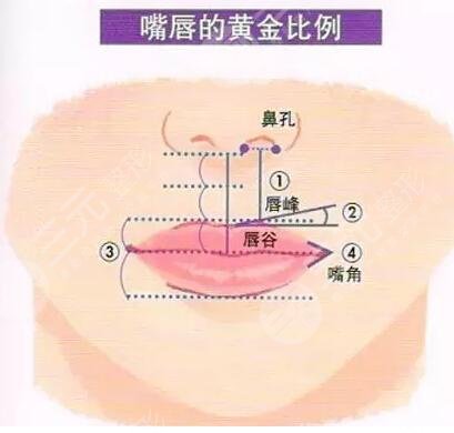 厚唇改薄手术恢复期多长？
