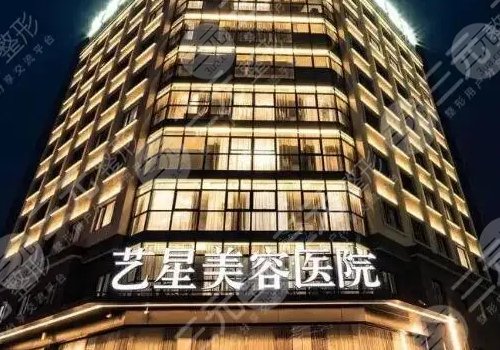 杭州艺星杨连华擅长什么风格?