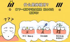 种植牙的利与弊分析对比！牙齿缺失，修复指南来帮你！