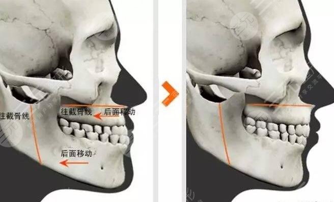 上海仁爱医院医生擅长项目介绍