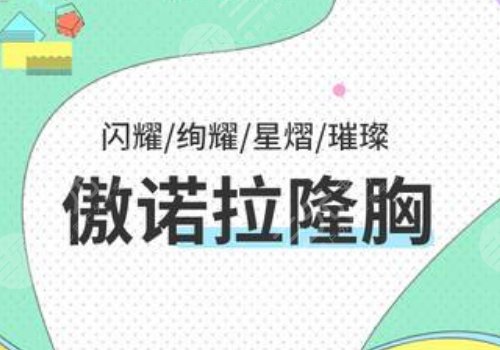 傲诺拉隆胸假体多少钱？