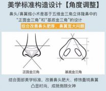 怎么能让鼻子变小？5种方案对比，缩鼻头鼻翼必看！
