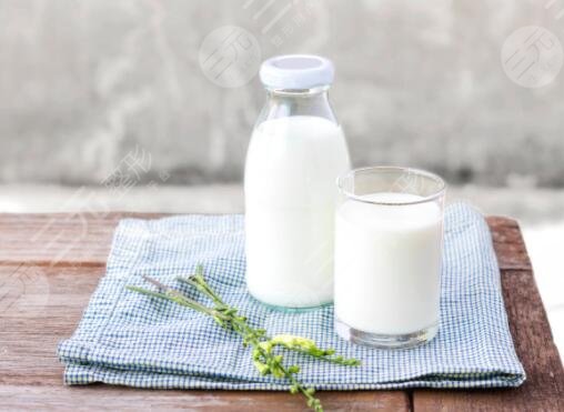 减肥吃的食物除了牛奶还有哪些?