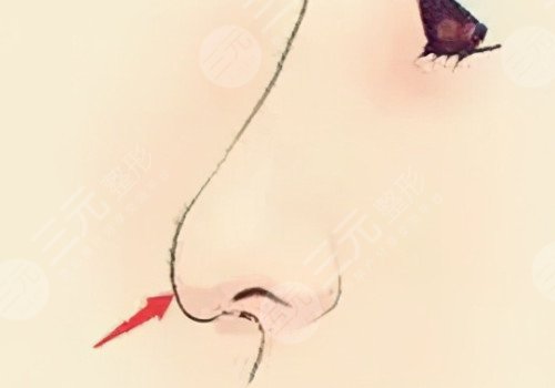 成都天使之翼旗舰店秦志慧简介