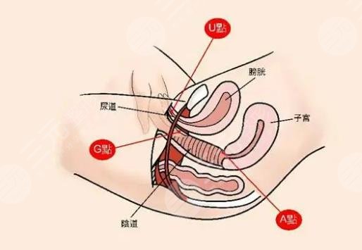 私密整形