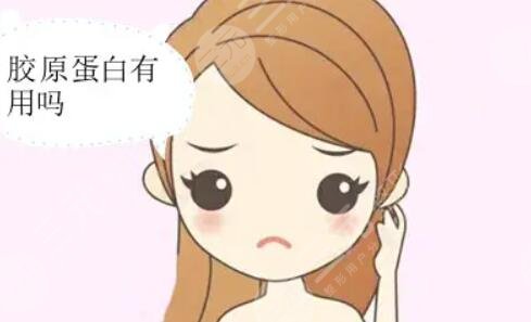 胶原蛋白