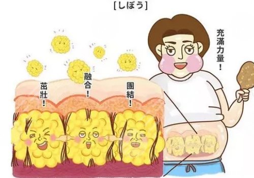 自体脂肪填充面部能保持多长时间?