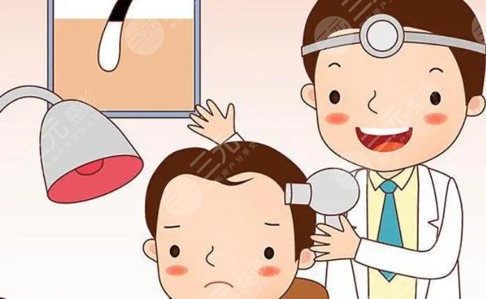 种一根头发需要多少钱