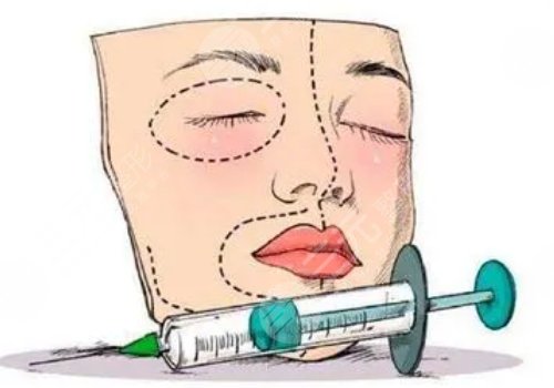 脸部外轮廓和内轮廓的位置怎么看