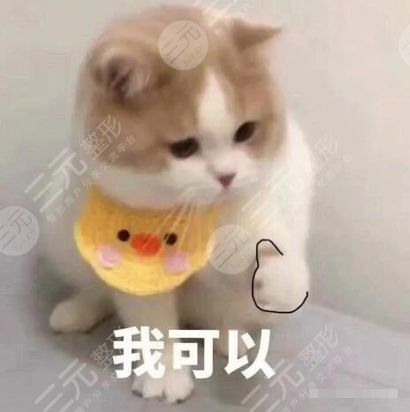 双眼皮