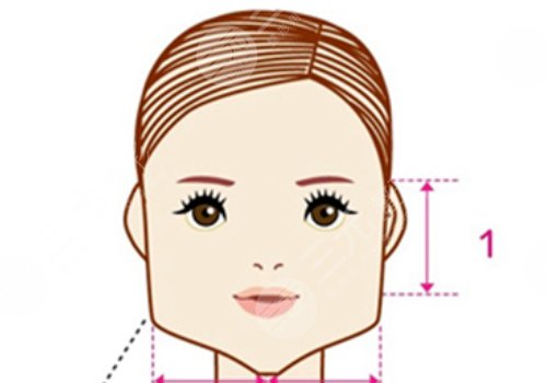 面部内轮廓和外轮廓区分
