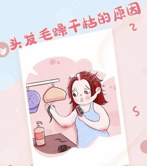 头发毛躁干枯怎么改良