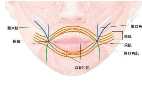 缩短人中的手术危险吗?