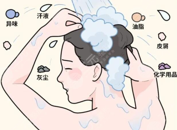 多久洗一次头健康？科学洗头间隔时间一般是2-3天左右