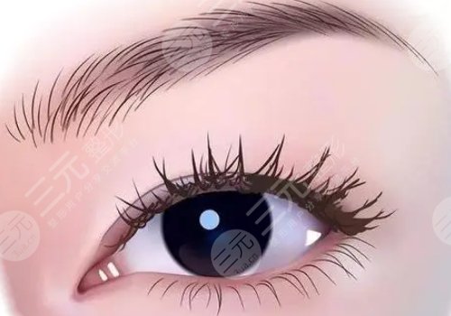 周旭刚是美莱的院长吗?