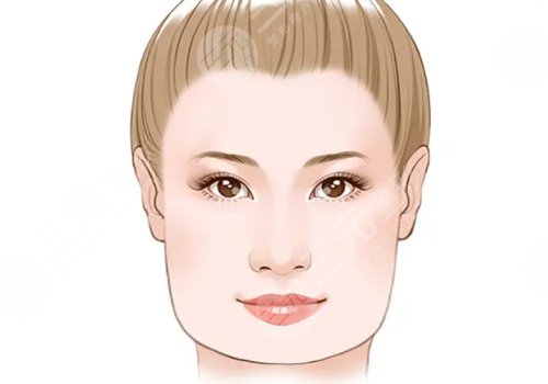 面部轮廓针是什么？
