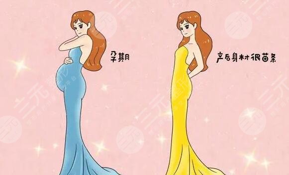 产后瘦身黄金期