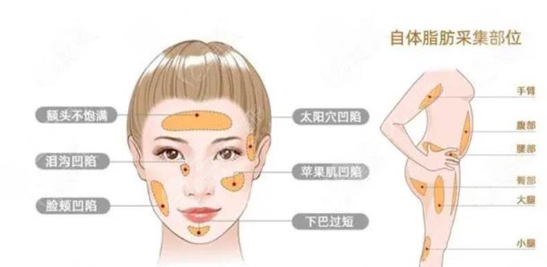 清华大学玉泉医院美容整形中心擅长项目