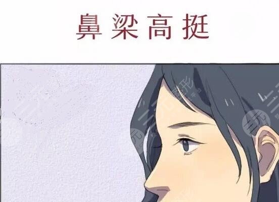 卢艺朴医生隆鼻案例分享