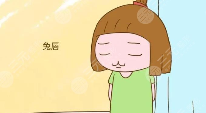 成年人兔唇