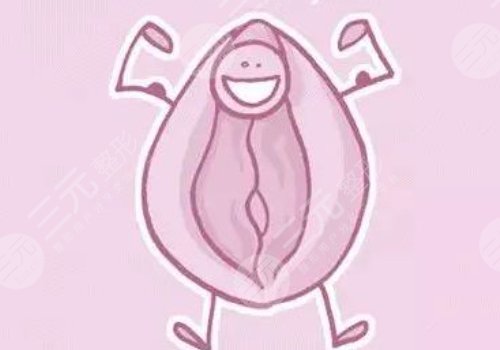 膜修复手术多少钱？