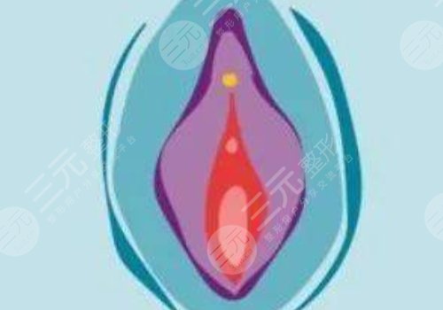 膜修复手术多少钱？