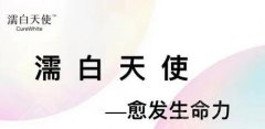 濡白天使有什么作用?详细情况分享! 濡白天使有什么作用?详细情况分享!