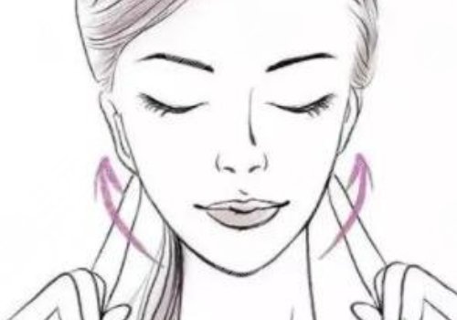 脸部外轮廓和内轮廓的位置