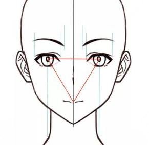 面部轮廓