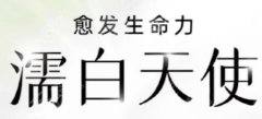濡白天使是什么品牌？濡白天使使用部位基本介绍！