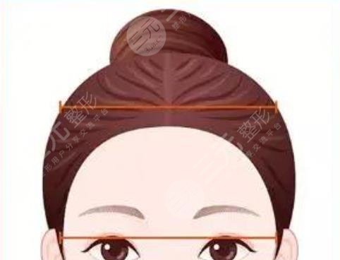 打造高颅顶动漫