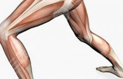 大腿肌肉怎么减？给集美们带来4种运动方法和一种减肌手术介绍！