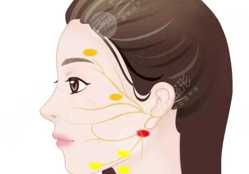 热玛吉和超声炮哪个提升效果好?