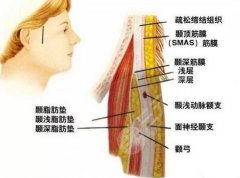拉皮有几种方法?分享拉皮手术的作用、原理以及注意事项! 拉皮有几种方法?分享拉皮手术的作用、原理以及注意事项!