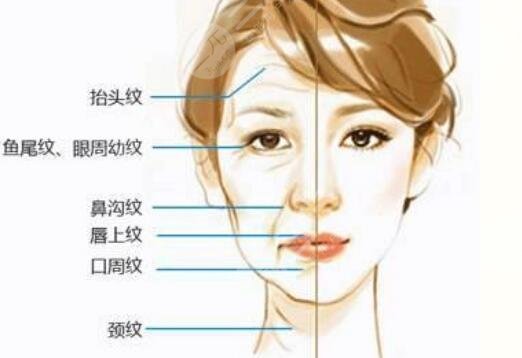 筋膜