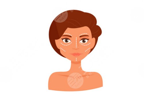 内轮廓是指哪里部位？