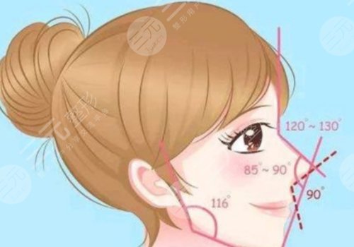 叶丽萍做鼻子怎么样