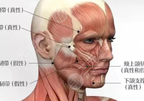 骨相抗衰怎么做？