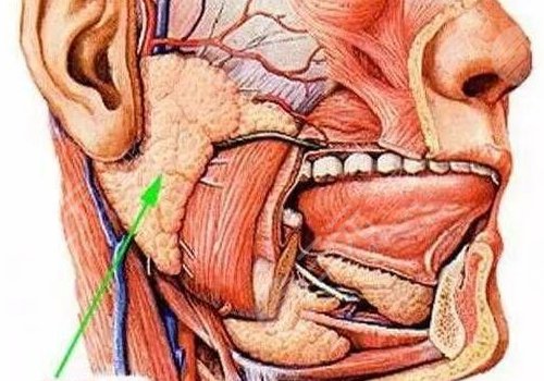 咬肌太大怎么办如何让咬肌变小？