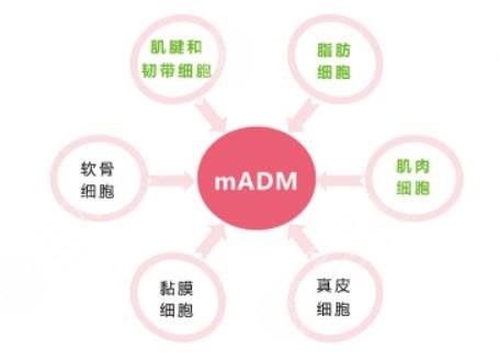 注射玻尿酸