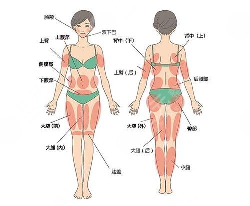 屁股上的肉怎么能减掉?