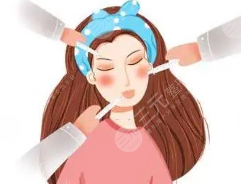 轮廓针